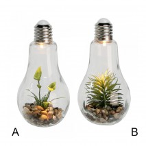 Ampoule et plante décorative à poser
