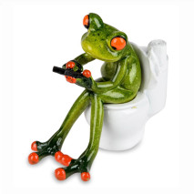 Grenouille sur les wc