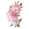 Décors Pivoine et rose anglaise