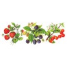 Bols décorés avec des fruits